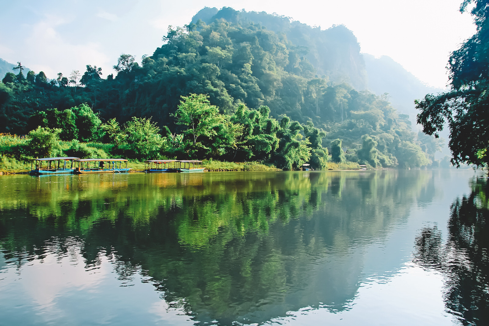 Vườn quốc gia Ba Bể - Điểm đến dành cho người thích cảnh hồ và rừng Vườn quốc gia Ba Bể - Điểm đến dành cho người thích cảnh hồ và rừng