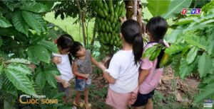 Những câu chuyện cuộc sống Những câu chuyện cuộc sống