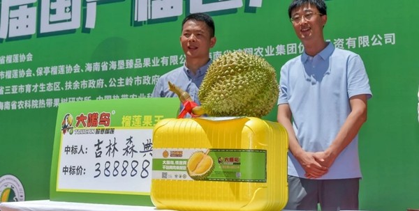 Quả sầu riêng đắt giá đã có chủ Quả sầu riêng đắt giá đã có chủ
