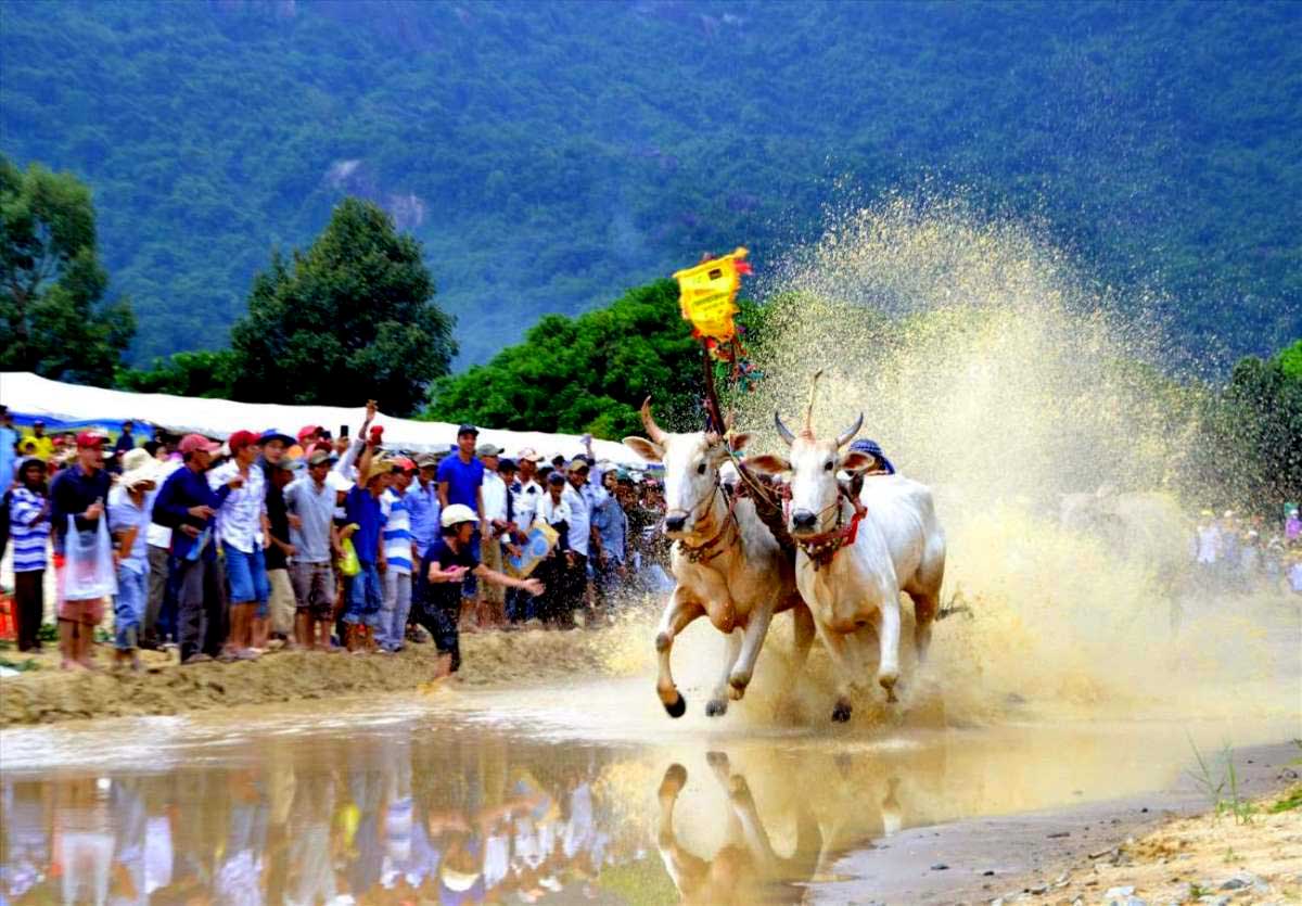 Hình ảnh những chùm hoa nước lộng lẫy đặc trưng tại đua bò Bảy Núi. Ảnh: Lâm Điền Hình ảnh những chùm hoa nước lộng lẫy đặc trưng tại đua bò Bảy Núi. Ảnh: Lâm Điền
