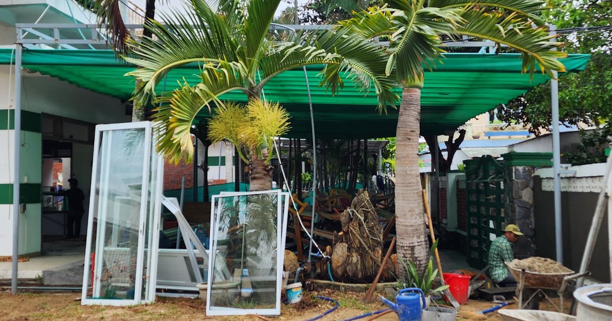 Phụ huynh té ngửa khi Trường Quốc tế Green Shoots bất ngờ đóng cửa Phụ huynh té ngửa khi Trường Quốc tế Green Shoots bất ngờ đóng cửa