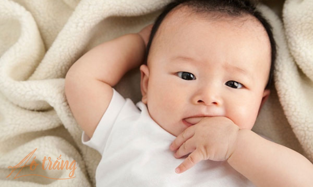 Thùy trán ảnh hưởng đến nhiều hoạt động của cơ thể nên trẻ có trán cao, đầy đặn thường sẽ phát triển trí não tốt hơn Thùy trán ảnh hưởng đến nhiều hoạt động của cơ thể nên trẻ có trán cao, đầy đặn thường sẽ phát triển trí não tốt hơn