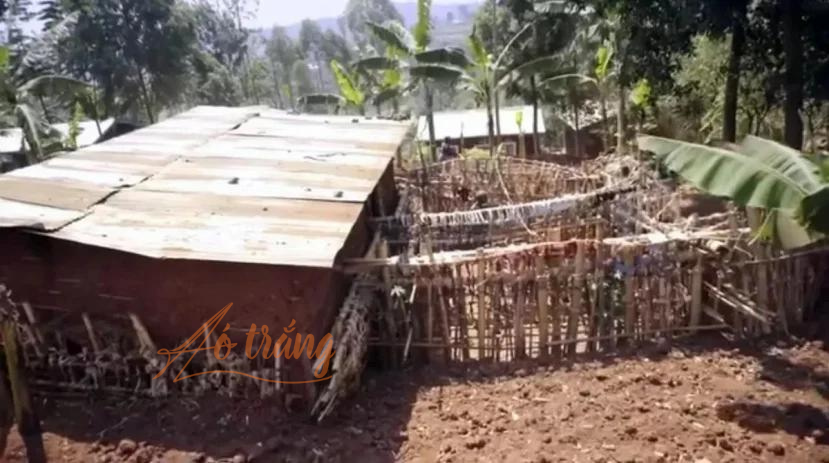 Ông xây dựng hàng rào cao 4,5 mét để đảm bảo không có bất kỳ một người phụ nữ nào đến gần căn nhà mà ông sống