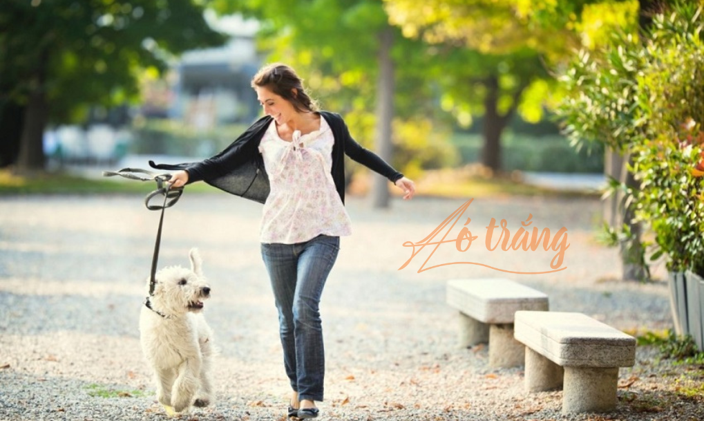 Chơi với thú cưng cũng là cách tốt để giảm căng thẳng và giận dữ. Chơi với thú cưng cũng là cách tốt để giảm căng thẳng và giận dữ.