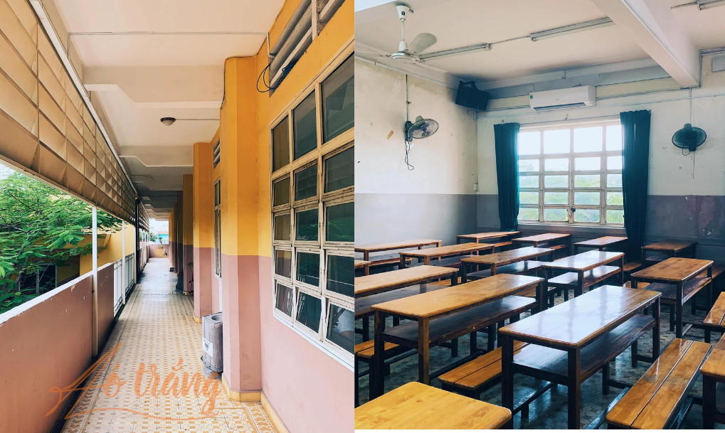 Trải qua nhiều thay đổi, trường vẫn còn những mảng cổ kính đặc trưng và rợp bóng cây xanh Trải qua nhiều thay đổi, trường vẫn còn những mảng cổ kính đặc trưng và rợp bóng cây xanh