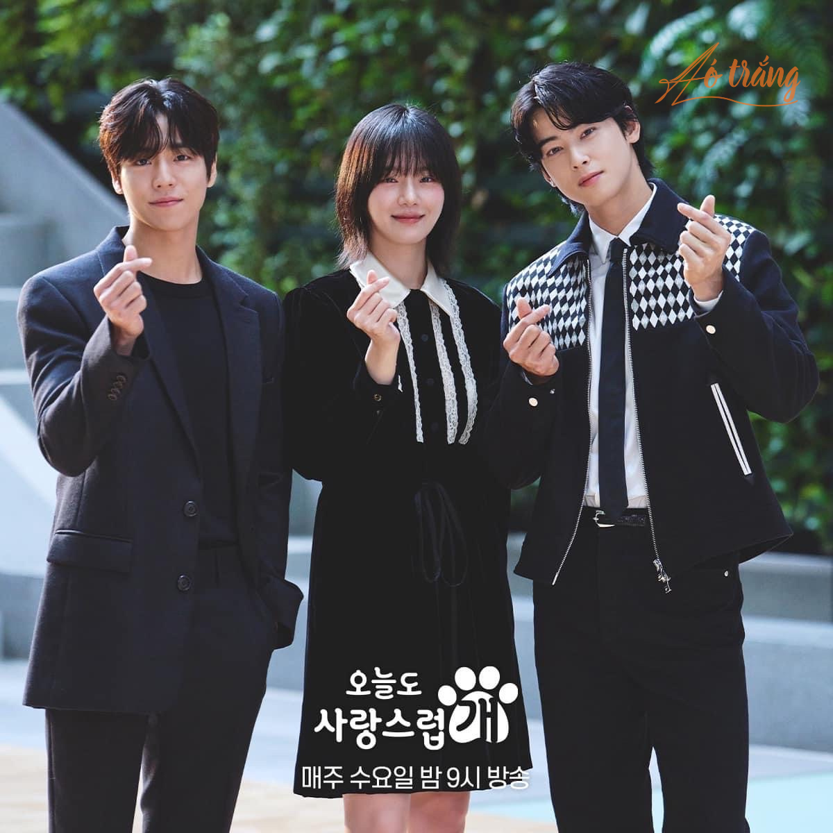 Bộ 3 diễn viên Lee Hyun Woo, Park Gyu Young và Cha Eun Woo trong phim "A good day to be a dog Bộ 3 diễn viên Lee Hyun Woo, Park Gyu Young và Cha Eun Woo trong phim "A good day to be a dog"