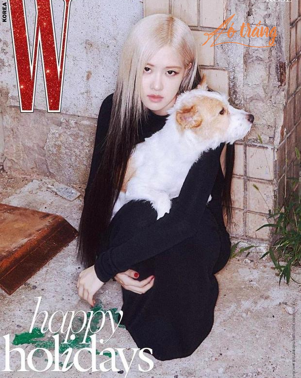 Rosé khiến người hâm mộ thích thú khi đem Hank lên bìa tạp chí Rosé khiến người hâm mộ thích thú khi đem Hank lên bìa tạp chí