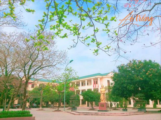 Một góc trường THPT chuyên Phan Bội Châu (Nghệ An) Một góc trường THPT chuyên Phan Bội Châu (Nghệ An)