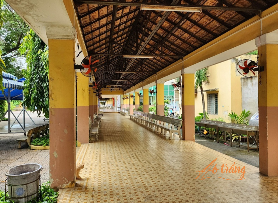 Những dãy ghế đá dài cũng lưu lại nhiều kỷ niệm với học sinh của trường Những dãy ghế đá dài cũng lưu lại nhiều kỷ niệm với học sinh của trường