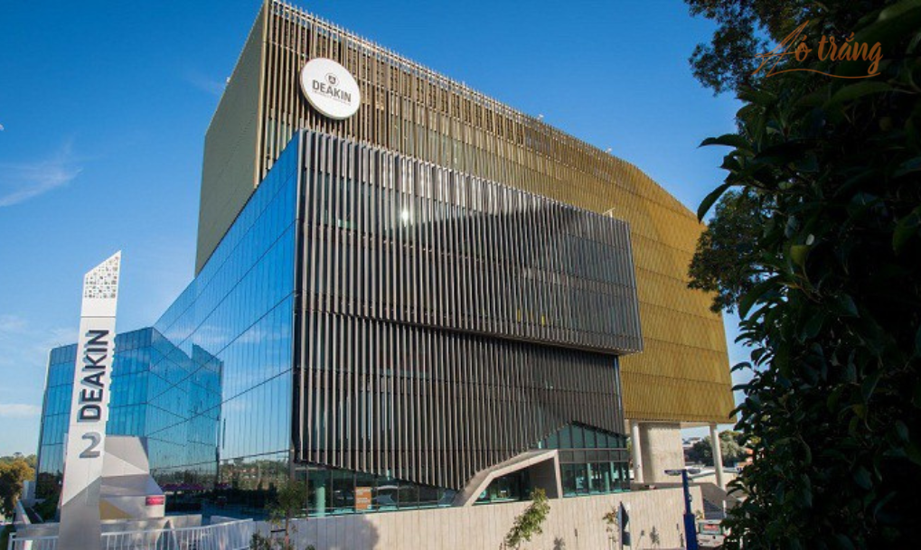 Học bổng toàn phần tại Đại học Deakin 2024 Học bổng toàn phần tại Đại học Deakin 2024