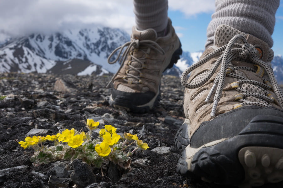 Cách chọn giày leo núi, giày trekking phù hợp