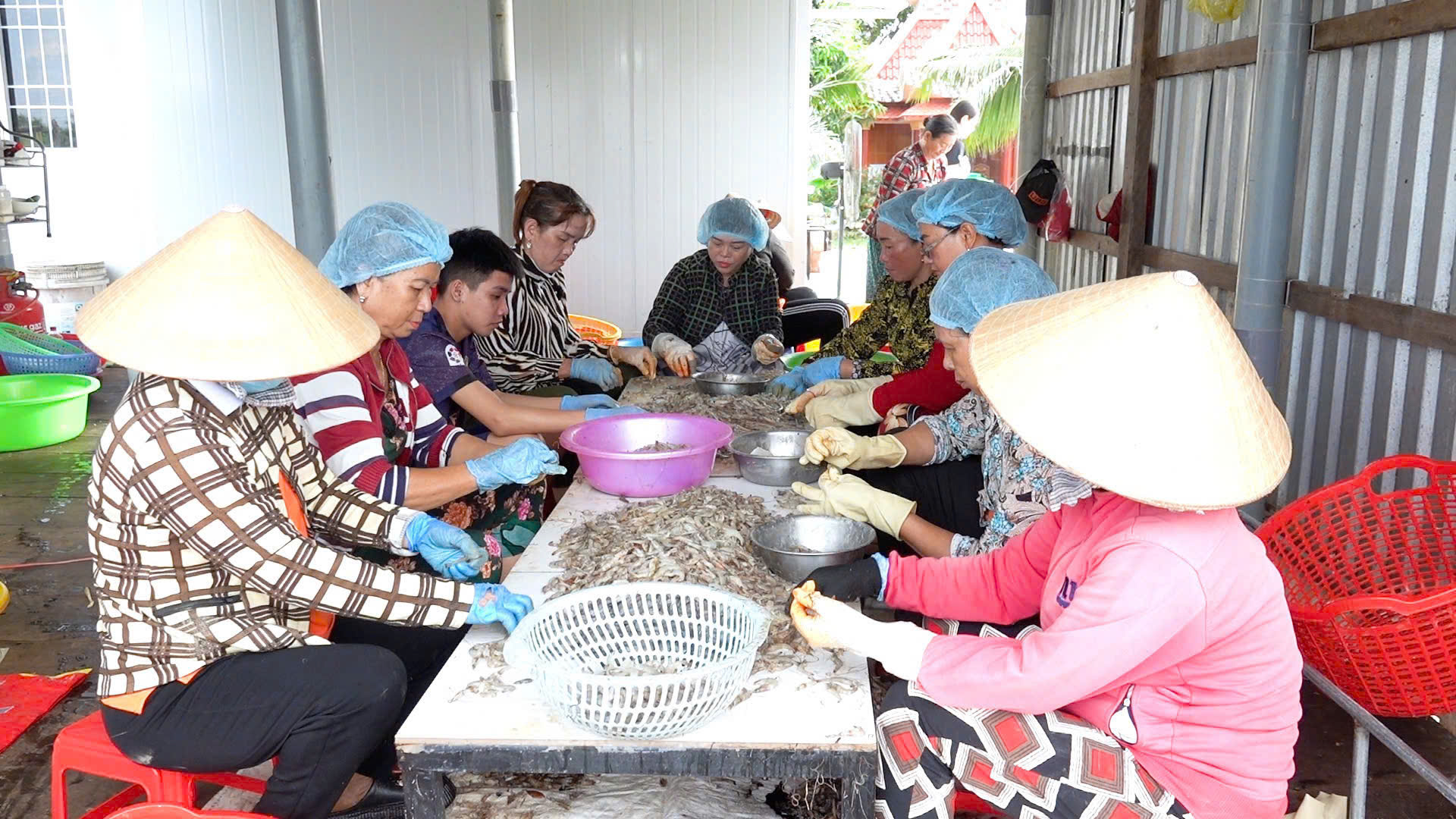 Mắm tôm chua Ánh Kua đậm đà hương vị Quê nhà