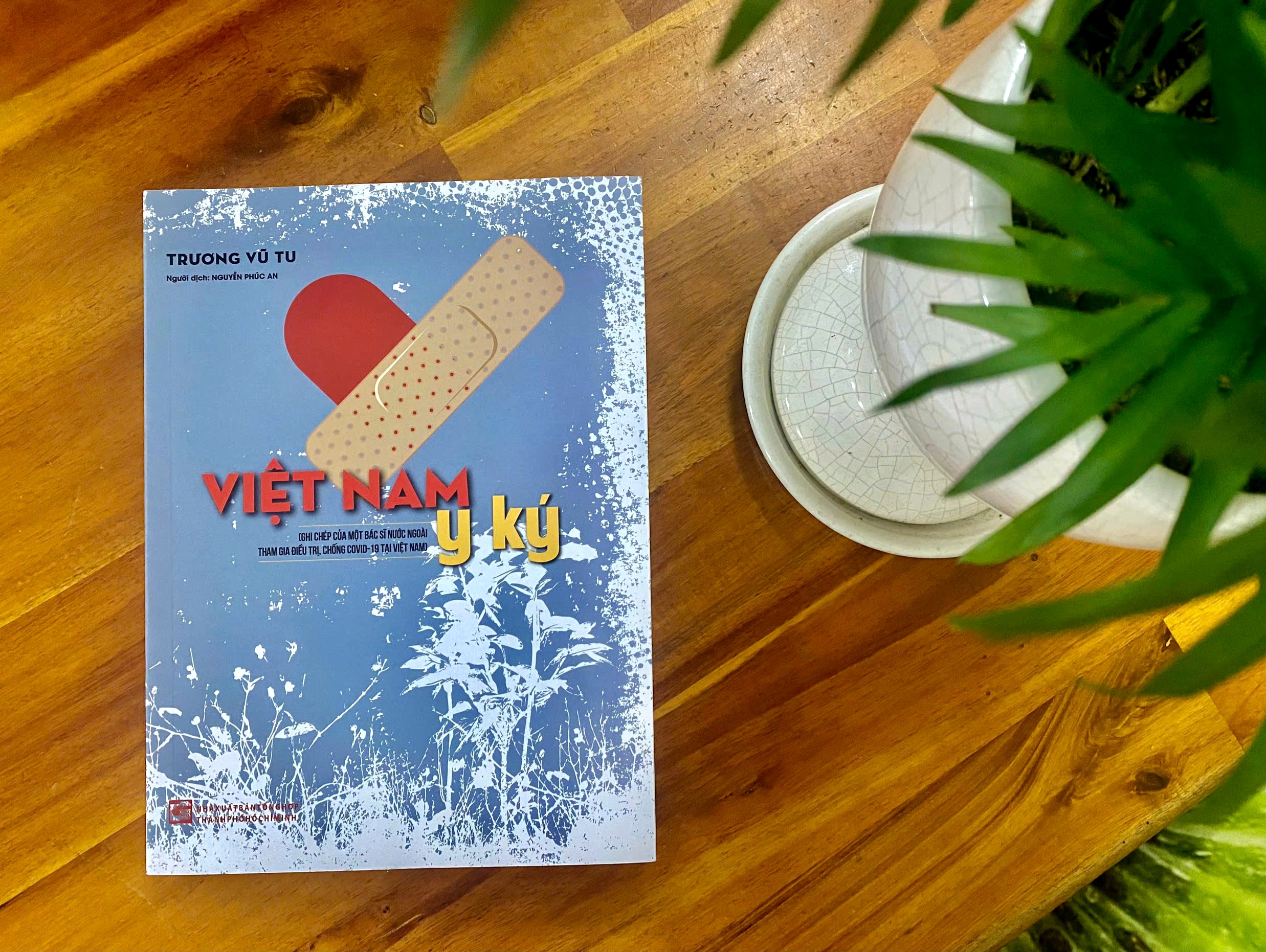 Việt Nam y ký