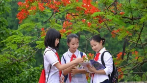Để có kỳ nghỉ hè ý nghĩa, bổ ích với học sinh