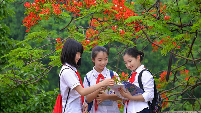 Để có kỳ nghỉ hè ý nghĩa, bổ ích với học sinh