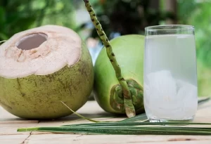 Có nên uống nước dừa thay nước lọc?