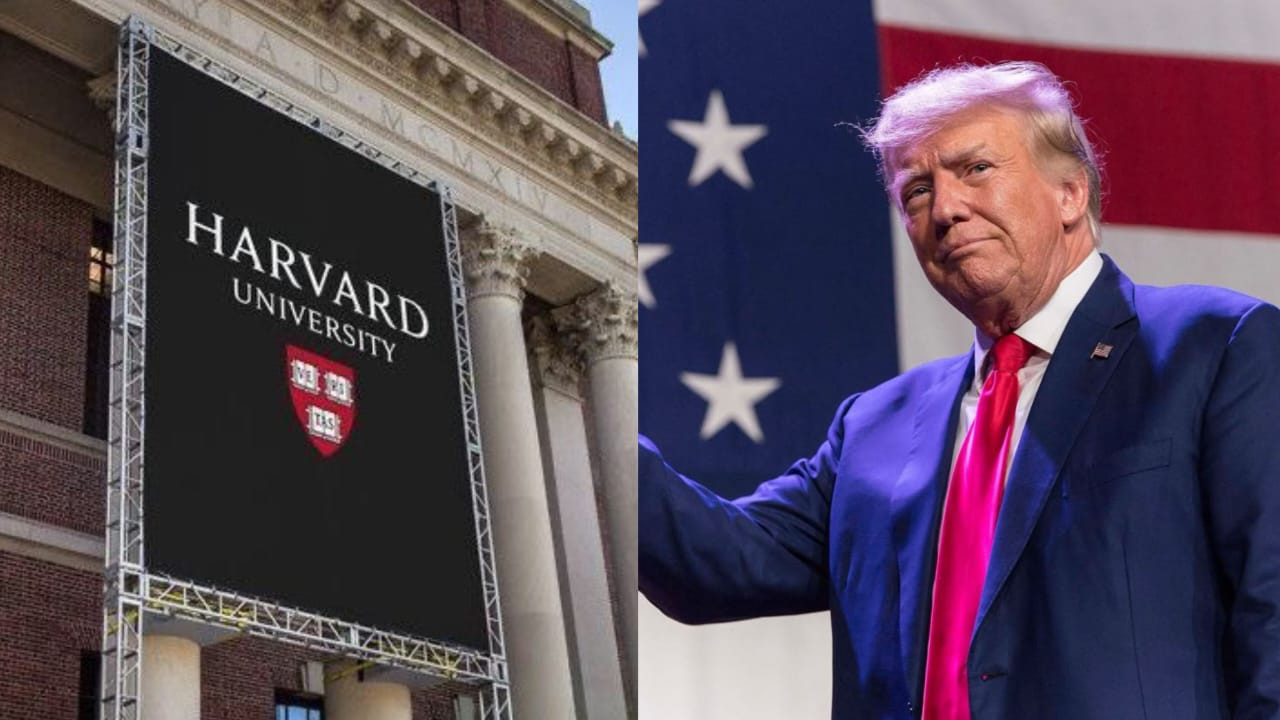 Căng thẳng giữa Chính quyền Tổng thống Trump và Đại học Harvard chưa có dấu hiệu dịu lại. Ảnh: The Theorist