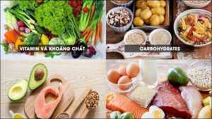 Bổ sung đầy đủ các thực phẩm dinh dưỡng để cơ thể có đủ năng lượng học tập