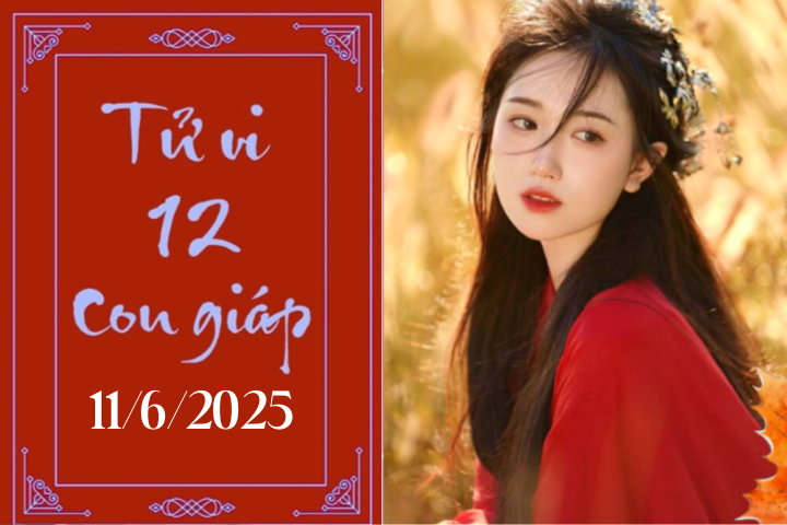 Tử vi 12 con giáp hôm nay ngày 11/6/2025
