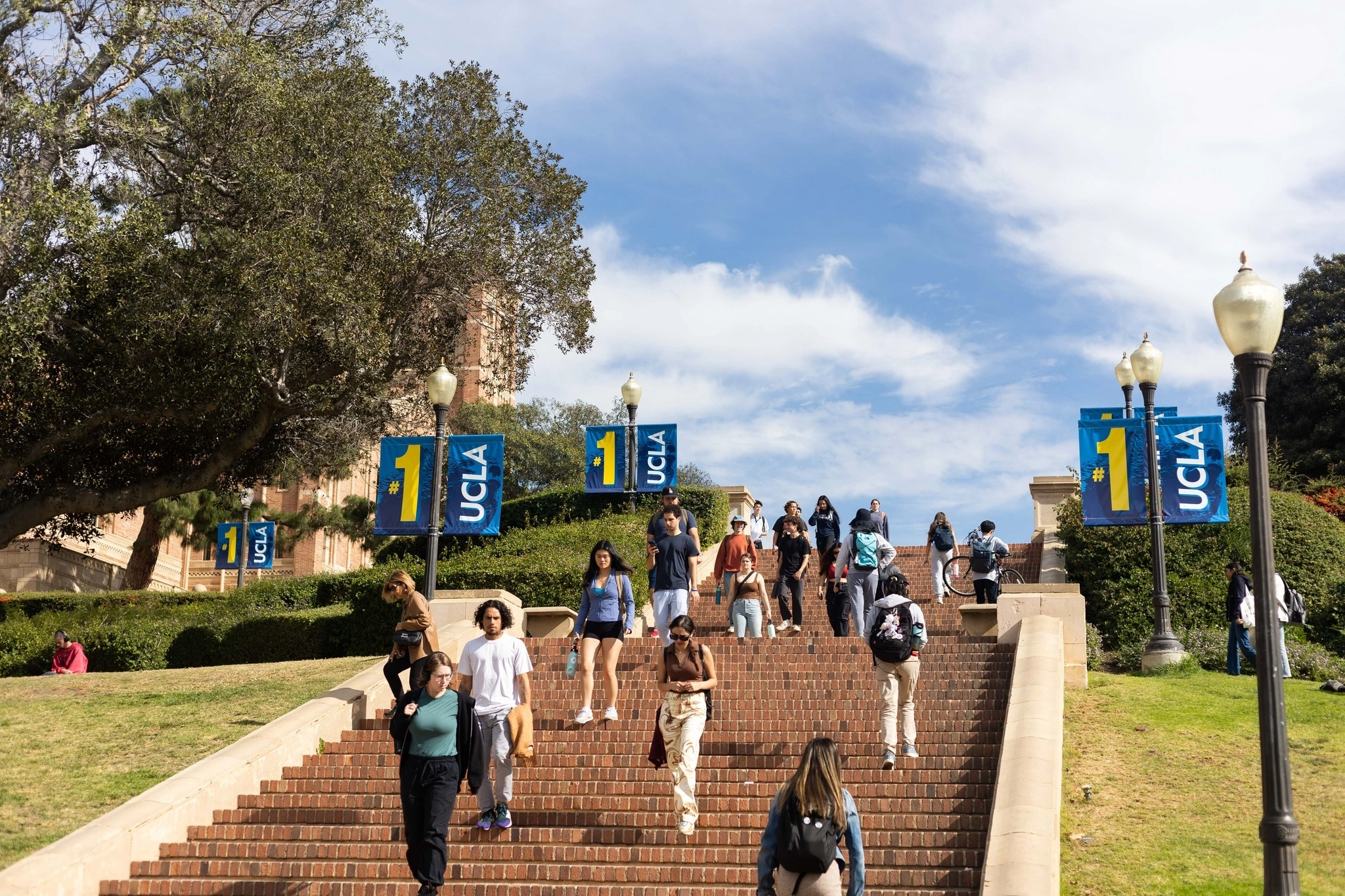 Khuôn viên Đại học California ở Los Angeles, Mỹ. Ảnh: UCLA Fanpage