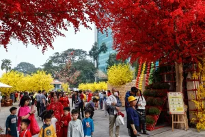 Nhà Văn hóa Thanh niên là nơi tổ chức các hoạt động vào các dịp lễ, thu hút đông đảo người dân đến vui chơi, chụp ảnh. Ảnh: Khương Nguyễn