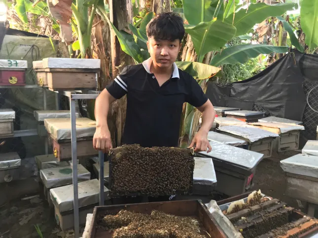 Ảnh: Hòa Hội