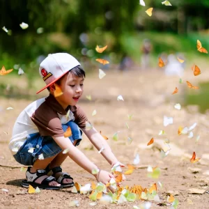 Mùa săn bướm là mùa đẹp nhất trong năm ở đây (Ảnh: Thanh Bình).