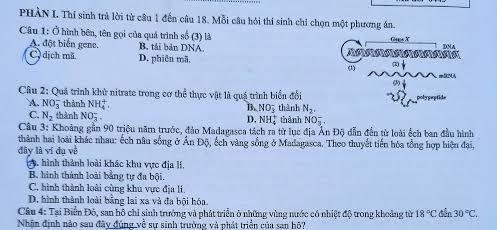 Đề thi môn Sinh học thi tốt nghiệp THPT năm 2025