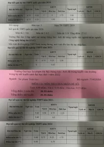 Điểm thi từng năm của Hiếu. ẢNH: NVCC