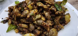 Món ve sầu chiên giòn được nhiều người yêu thích