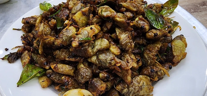 Món ve sầu chiên giòn được nhiều người yêu thích