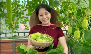 Khu vườn 30 m² xanh mướt với nhiều rau trái sạch của một phụ nữ xinh đẹp