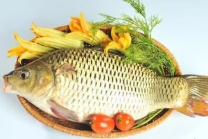 Cá chép rất giàu giá trị dinh dưỡng (Ảnh: Getty).