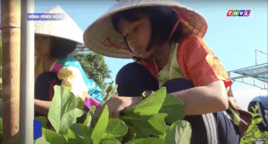 Những va chạm trong công việc không phải là điều tiêu cực, mà chính là chất xúc tác cho sự trưởng thành
