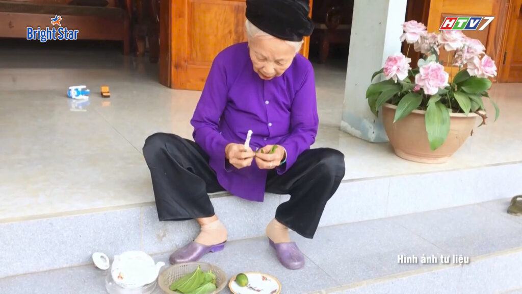 Lá trầu không: từ bài thuốc dân gian đến “thần dược” – đâu là sự thật?