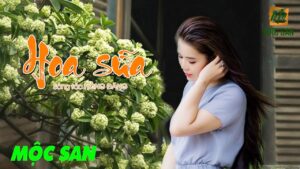 hoa-sua-trong-am-nhac-ha-noi